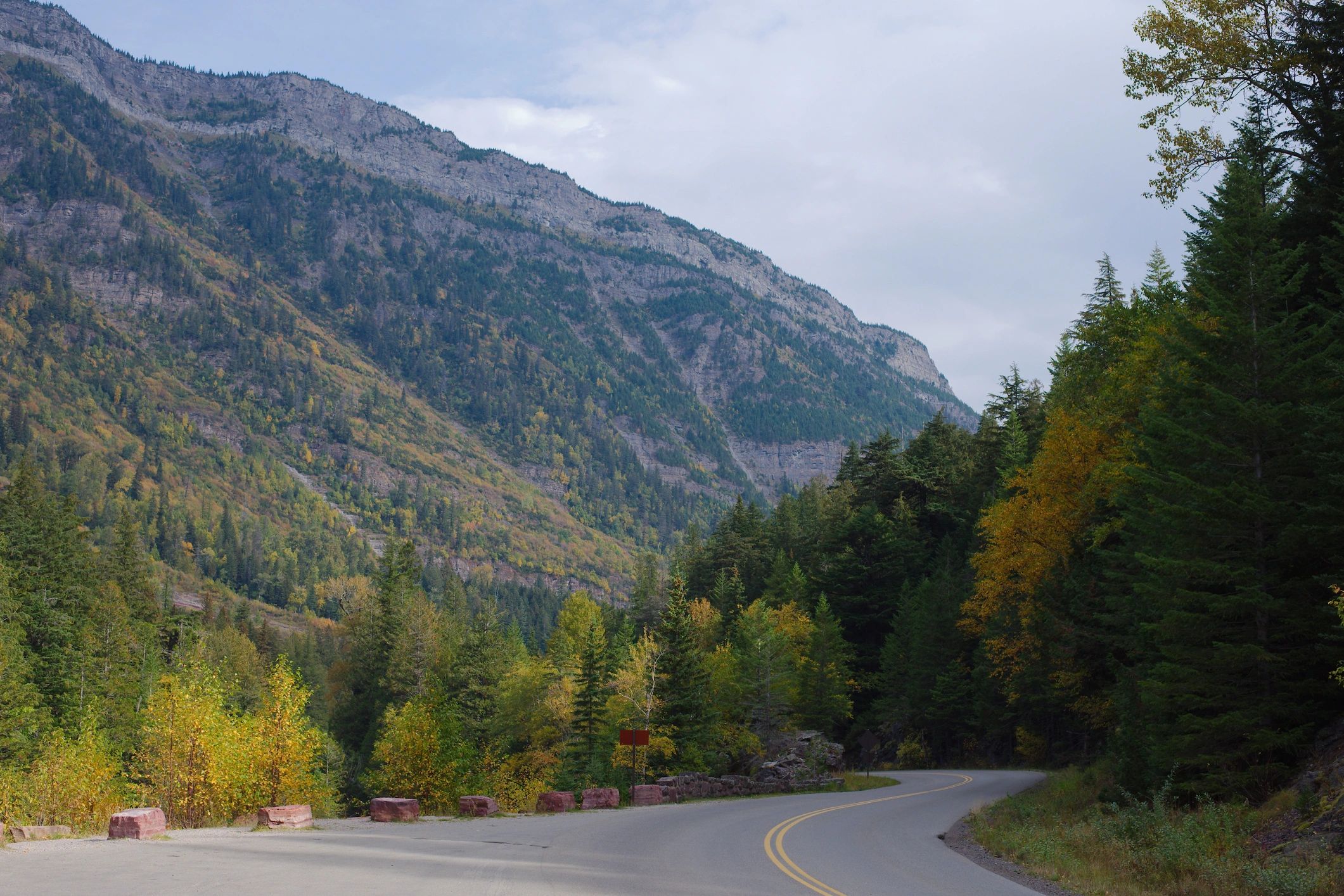 Mountain road and forest in Montana—closed-cell spray foam supports cold-climate building performance.